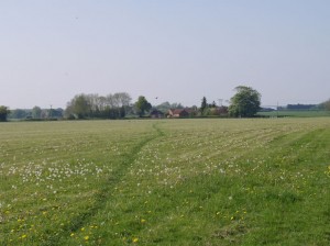 Looking across Long's field
